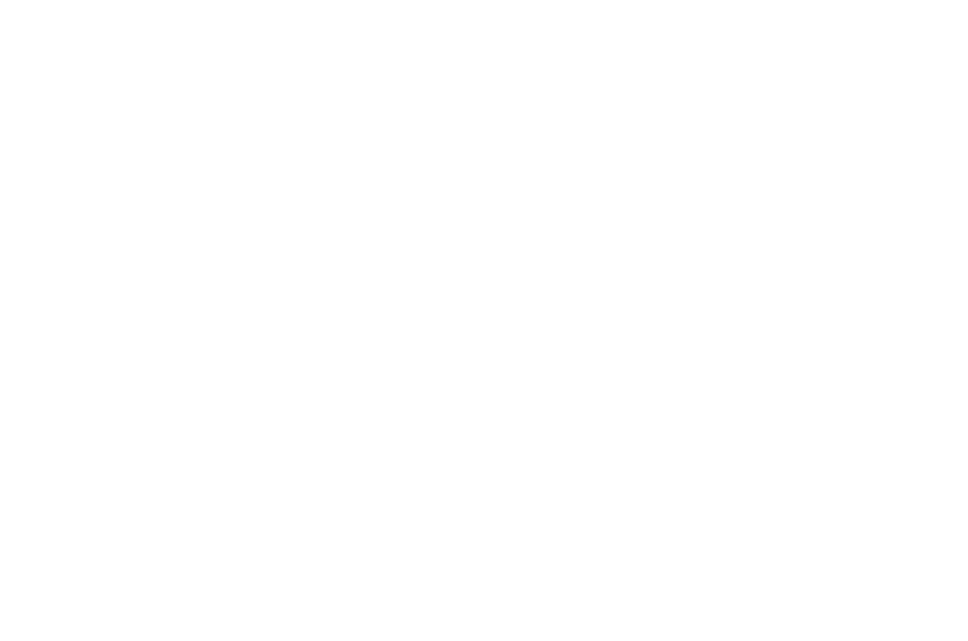 The next few pages are a breakdown of each script.